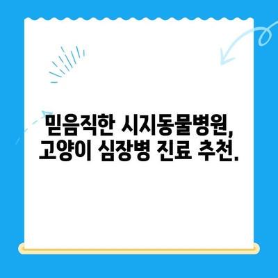 시지동물병원 고양이 심장진료 후기| 꼼꼼한 진료부터 따뜻한 케어까지 | 고양이 심장병, 시지 동물병원, 진료 후기, 추천