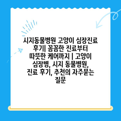 시지동물병원 고양이 심장진료 후기| 꼼꼼한 진료부터 따뜻한 케어까지 | 고양이 심장병, 시지 동물병원, 진료 후기, 추천