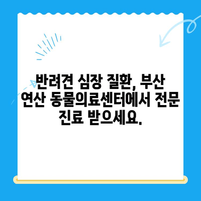 부산 반려견 심장 질환 전문, 24시 연산 동물의료센터| 심장 검사 최고의 선택 |  심장병, 동물병원, 24시 진료, 부산