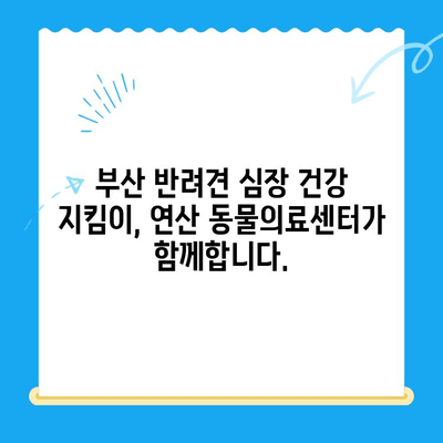 부산 반려견 심장 질환 전문, 24시 연산 동물의료센터| 심장 검사 최고의 선택 |  심장병, 동물병원, 24시 진료, 부산