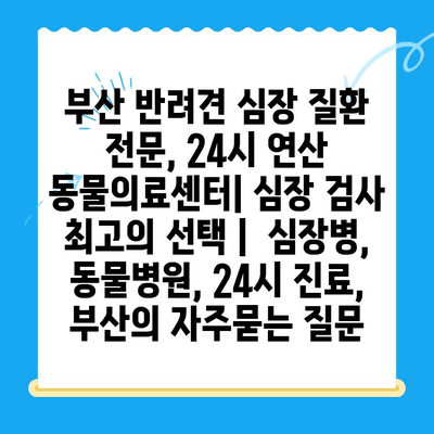 부산 반려견 심장 질환 전문, 24시 연산 동물의료센터| 심장 검사 최고의 선택 |  심장병, 동물병원, 24시 진료, 부산