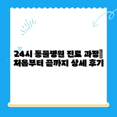 고양이 건강검진 후기| 24시 고양이 동물병원에서 받은 솔직한 경험 공유 | 고양이 건강검진, 동물병원 후기, 24시 동물병원