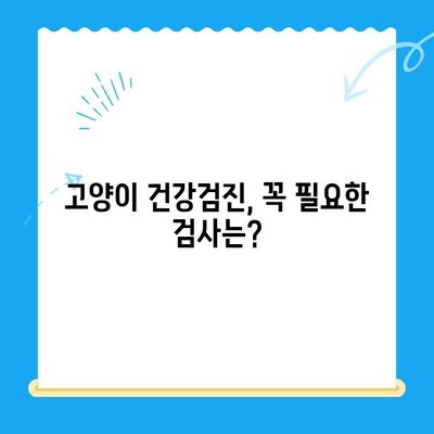 고양이 건강검진 후기| 24시 고양이 동물병원에서 받은 솔직한 경험 공유 | 고양이 건강검진, 동물병원 후기, 24시 동물병원