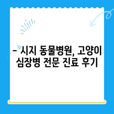 시지 동물병원 고양이 심장진료 후기| 본동물메디컬센터 수성점 | 고양이 심장병, 진료 후기, 수성구 동물병원
