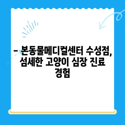 시지 동물병원 고양이 심장진료 후기| 본동물메디컬센터 수성점 | 고양이 심장병, 진료 후기, 수성구 동물병원