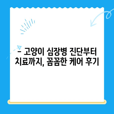시지 동물병원 고양이 심장진료 후기| 본동물메디컬센터 수성점 | 고양이 심장병, 진료 후기, 수성구 동물병원