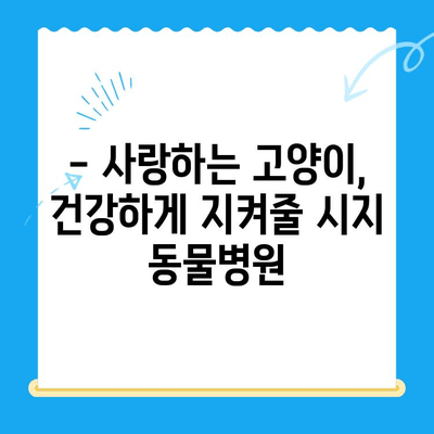 시지 동물병원 고양이 심장진료 후기| 본동물메디컬센터 수성점 | 고양이 심장병, 진료 후기, 수성구 동물병원