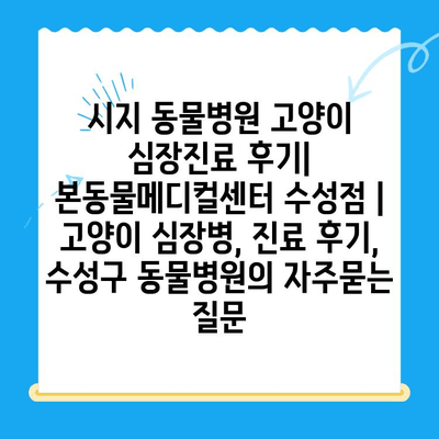 시지 동물병원 고양이 심장진료 후기| 본동물메디컬센터 수성점 | 고양이 심장병, 진료 후기, 수성구 동물병원