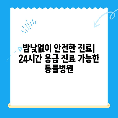 슬개골탈구 전문 24시간 동물병원 찾기| 지역별 추천 & 정보 | 반려동물, 응급, 진료