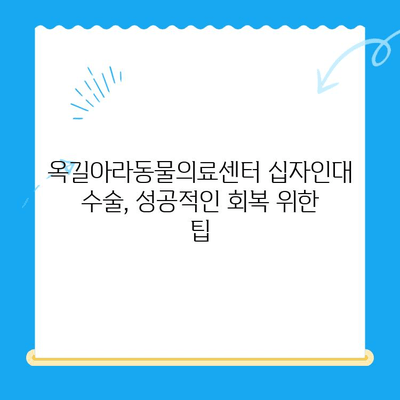 옥길아라동물의료센터 십자인대 수술 후기| 수술 과정, 회복, 그리고 팁 | 반려동물, 십자인대, 수술 경험, 옥길, 아라