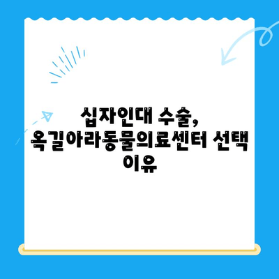 옥길아라동물의료센터 십자인대 수술 후기| 수술 과정, 회복, 그리고 팁 | 반려동물, 십자인대, 수술 경험, 옥길, 아라