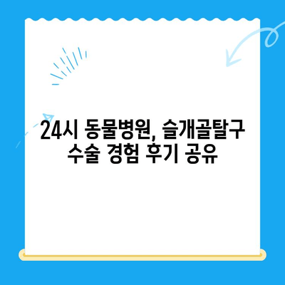 대치동·개포동 강아지 슬개골탈구 수술| 24시 동물병원 방문 후기 | 슬개골탈구, 수술 경험, 24시 동물병원 추천