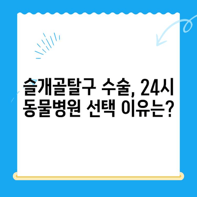 대치동·개포동 강아지 슬개골탈구 수술| 24시 동물병원 방문 후기 | 슬개골탈구, 수술 경험, 24시 동물병원 추천