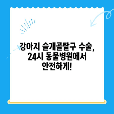 대치동·개포동 강아지 슬개골탈구 수술| 24시 동물병원 방문 후기 | 슬개골탈구, 수술 경험, 24시 동물병원 추천