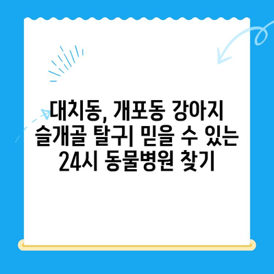 대치동, 개포동 강아지 슬개골 탈구 수술| 24시 동물병원 추천 & 정보 | 슬개골 탈구, 수술 비용, 병원 선택 가이드