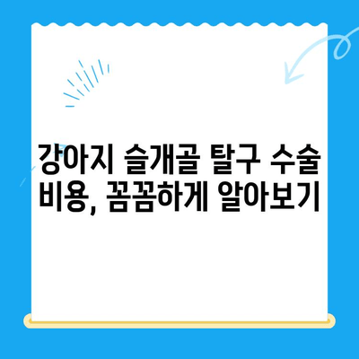 대치동, 개포동 강아지 슬개골 탈구 수술| 24시 동물병원 추천 & 정보 | 슬개골 탈구, 수술 비용, 병원 선택 가이드