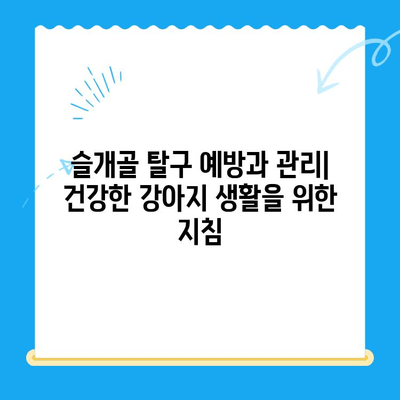 대치동, 개포동 강아지 슬개골 탈구 수술| 24시 동물병원 추천 & 정보 | 슬개골 탈구, 수술 비용, 병원 선택 가이드