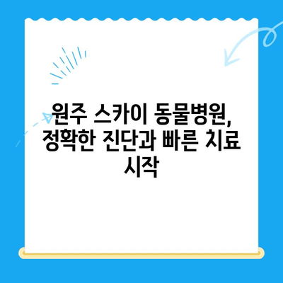 원주 스카이 동물병원에서 진행한 강아지 사지마비 및 갈색뇨 치료 후기| [강아지 이름]이의 회복 스토리 | 사지마비, 갈색뇨, 원주 스카이, 강아지 치료 후기