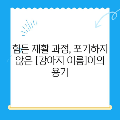 원주 스카이 동물병원에서 진행한 강아지 사지마비 및 갈색뇨 치료 후기| [강아지 이름]이의 회복 스토리 | 사지마비, 갈색뇨, 원주 스카이, 강아지 치료 후기