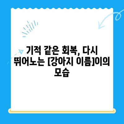 원주 스카이 동물병원에서 진행한 강아지 사지마비 및 갈색뇨 치료 후기| [강아지 이름]이의 회복 스토리 | 사지마비, 갈색뇨, 원주 스카이, 강아지 치료 후기