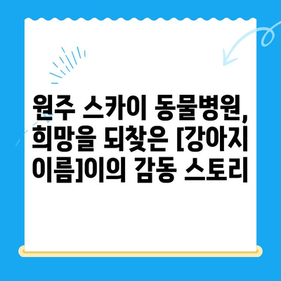 원주 스카이 동물병원에서 진행한 강아지 사지마비 및 갈색뇨 치료 후기| [강아지 이름]이의 회복 스토리 | 사지마비, 갈색뇨, 원주 스카이, 강아지 치료 후기