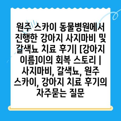 원주 스카이 동물병원에서 진행한 강아지 사지마비 및 갈색뇨 치료 후기| [강아지 이름]이의 회복 스토리 | 사지마비, 갈색뇨, 원주 스카이, 강아지 치료 후기