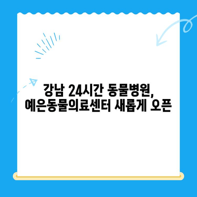 강남 24시 동물병원, "예은동물의료센터"로 새롭게 시작하다 | 예은동물의료센터, 강남 24시 동물병원, 동물병원 추천, 24시간 응급 진료