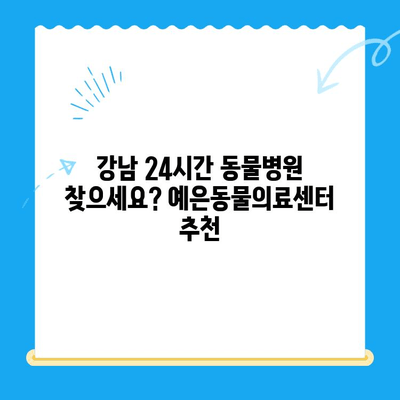 강남 24시 동물병원, "예은동물의료센터"로 새롭게 시작하다 | 예은동물의료센터, 강남 24시 동물병원, 동물병원 추천, 24시간 응급 진료