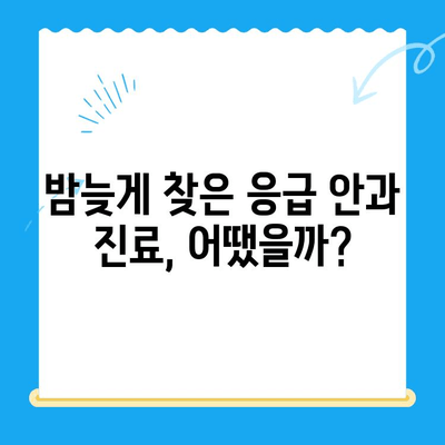 처인구 24시간 동물병원 안과 검진 후기| 솔직한 경험 공유 | 처인구, 동물병원, 안과, 24시간, 검진 후기, 추천