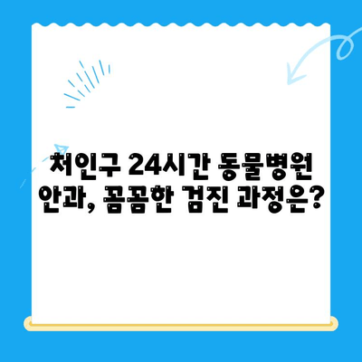 처인구 24시간 동물병원 안과 검진 후기| 솔직한 경험 공유 | 처인구, 동물병원, 안과, 24시간, 검진 후기, 추천