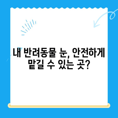 처인구 24시간 동물병원 안과 검진 후기| 솔직한 경험 공유 | 처인구, 동물병원, 안과, 24시간, 검진 후기, 추천