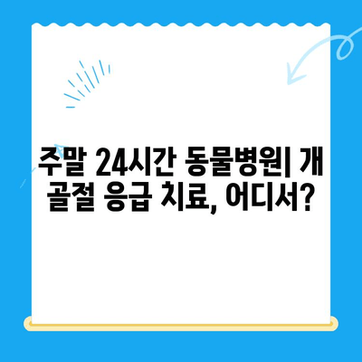 주말 24시간 동물병원| 개 골절 응급 치료, 어디서? | 24시간 진료, 응급 수술, 동물병원 찾기, 개 골절