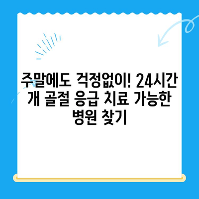 주말 24시간 동물병원| 개 골절 응급 치료, 어디서? | 24시간 진료, 응급 수술, 동물병원 찾기, 개 골절