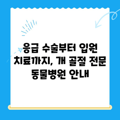 주말 24시간 동물병원| 개 골절 응급 치료, 어디서? | 24시간 진료, 응급 수술, 동물병원 찾기, 개 골절