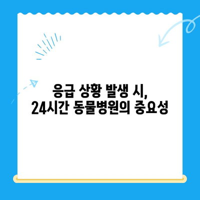 심장병 강아지, 24시간 안전하게! | 24시간 동물병원 심장 강아지 치료, 응급 상황 대처법, 전문의 진료