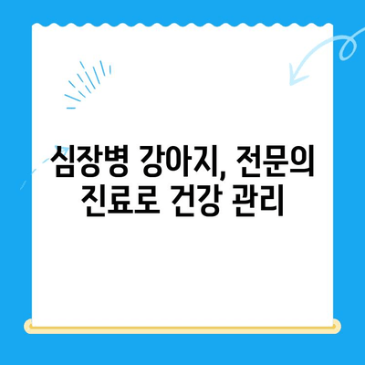 심장병 강아지, 24시간 안전하게! | 24시간 동물병원 심장 강아지 치료, 응급 상황 대처법, 전문의 진료