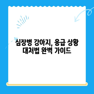 심장병 강아지, 24시간 안전하게! | 24시간 동물병원 심장 강아지 치료, 응급 상황 대처법, 전문의 진료