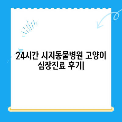 24시간 시지동물병원 고양이 심장진료 후기| 진료 과정과 경험 공유 | 고양이 심장병, 동물병원 추천, 진료 후기