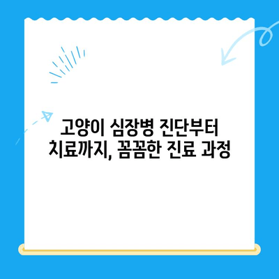 24시간 시지동물병원 고양이 심장진료 후기| 진료 과정과 경험 공유 | 고양이 심장병, 동물병원 추천, 진료 후기