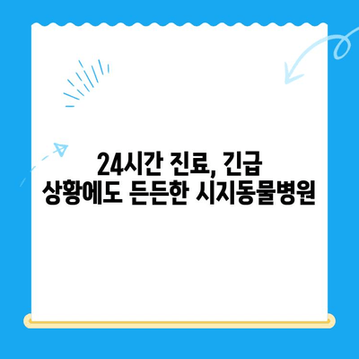 24시간 시지동물병원 고양이 심장진료 후기| 진료 과정과 경험 공유 | 고양이 심장병, 동물병원 추천, 진료 후기