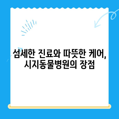 24시간 시지동물병원 고양이 심장진료 후기| 진료 과정과 경험 공유 | 고양이 심장병, 동물병원 추천, 진료 후기