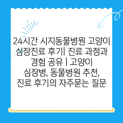 24시간 시지동물병원 고양이 심장진료 후기| 진료 과정과 경험 공유 | 고양이 심장병, 동물병원 추천, 진료 후기