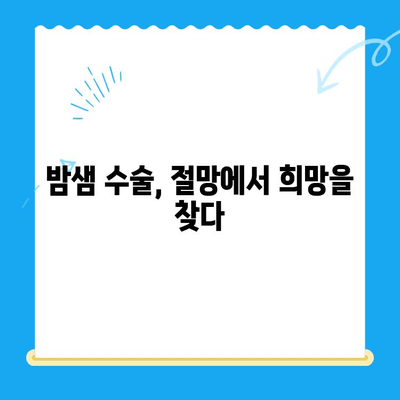 24시간 동물병원 골절 수술 후기| 밤샘 수술부터 회복까지 | 반려동물, 응급 수술, 골절 치료