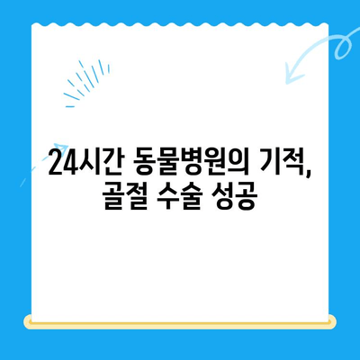 24시간 동물병원 골절 수술 후기| 밤샘 수술부터 회복까지 | 반려동물, 응급 수술, 골절 치료
