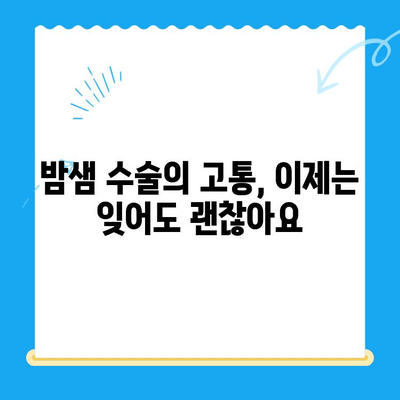 24시간 동물병원 골절 수술 후기| 밤샘 수술부터 회복까지 | 반려동물, 응급 수술, 골절 치료