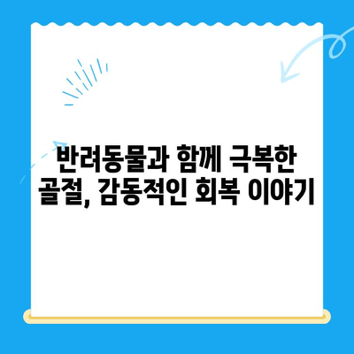24시간 동물병원 골절 수술 후기| 밤샘 수술부터 회복까지 | 반려동물, 응급 수술, 골절 치료