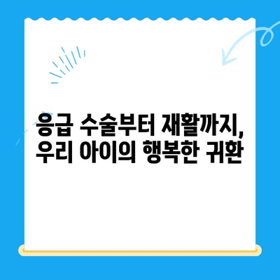 24시간 동물병원 골절 수술 후기| 밤샘 수술부터 회복까지 | 반려동물, 응급 수술, 골절 치료