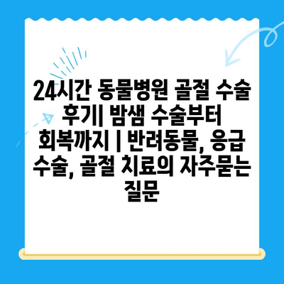 24시간 동물병원 골절 수술 후기| 밤샘 수술부터 회복까지 | 반려동물, 응급 수술, 골절 치료