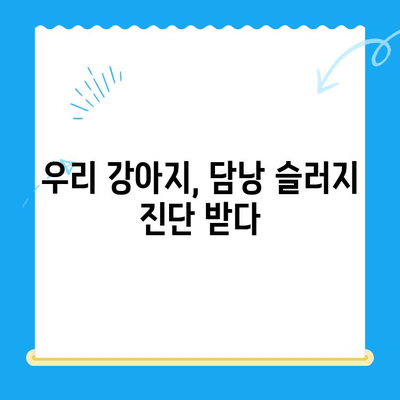 강아지 초음파 검사 후 담낭 슬러지 치료 경험| 저희 아이의 이야기 | 담낭 슬러지, 강아지 건강, 초음파 검사, 치료 후기