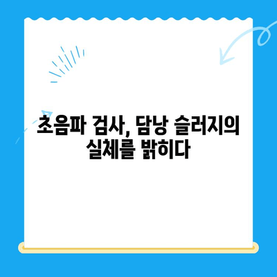 강아지 초음파 검사 후 담낭 슬러지 치료 경험| 저희 아이의 이야기 | 담낭 슬러지, 강아지 건강, 초음파 검사, 치료 후기